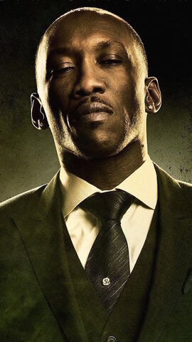 File:Cottonmouth.jpg