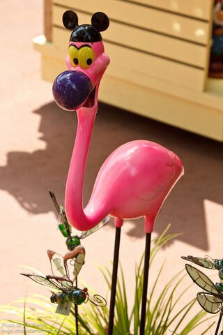 File:Yo Yo Flamingo WDW.jpg
