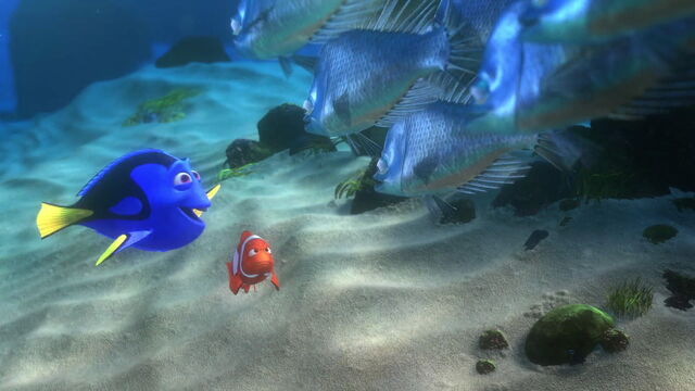 File:Finding-nemo-disneyscreencaps.com-4897.jpg