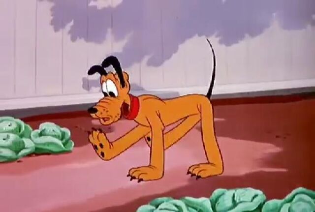 File:Bone Bandit1.jpg