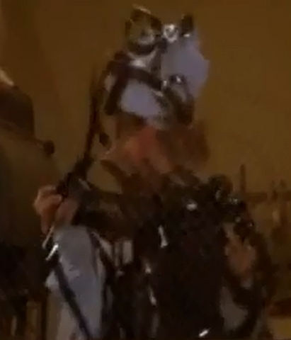 File:Swedish Chef.png