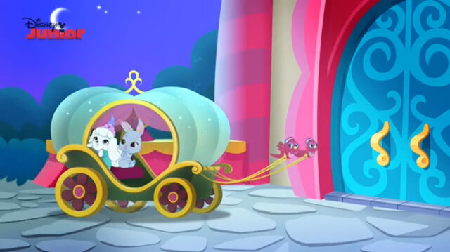 File:Whisker haven coach.jpg