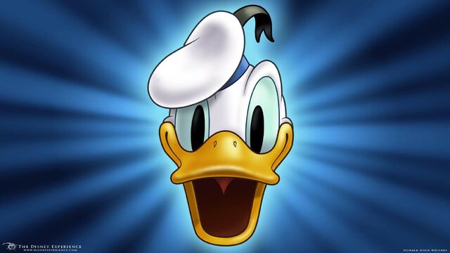 File:Donaldstar 1600.jpg