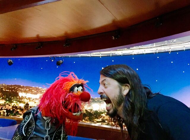File:Grohl-Animal.jpeg