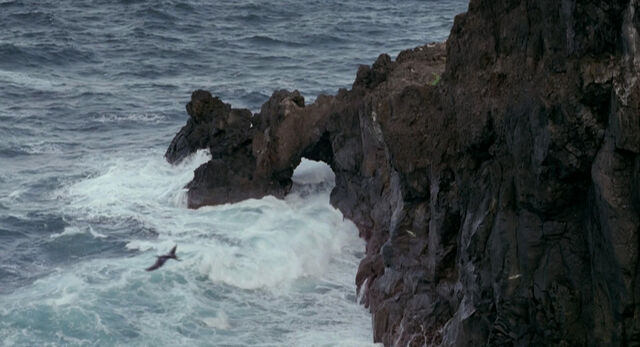 File:Maui Island, Hawaii.jpg