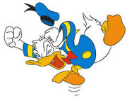 Donald angry