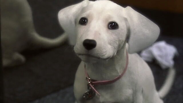 File:102-dalmatians-disneyscreencaps.com-2765.jpg