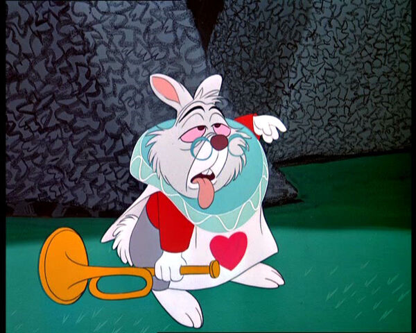 File:White-rabbit-2.jpg