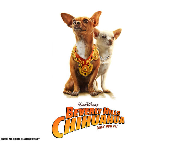 File:Papi-Chloe-wallpaper-beverly-hills-chihuahua-movie-9050772-1280-1024.jpg
