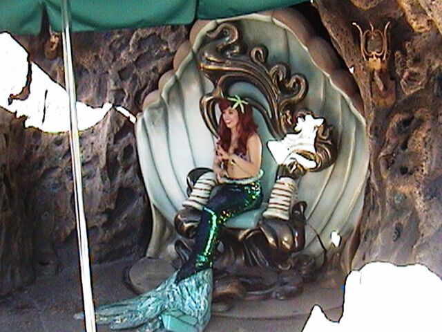 File:Ariel's Grotto, Fantasyland.jpg