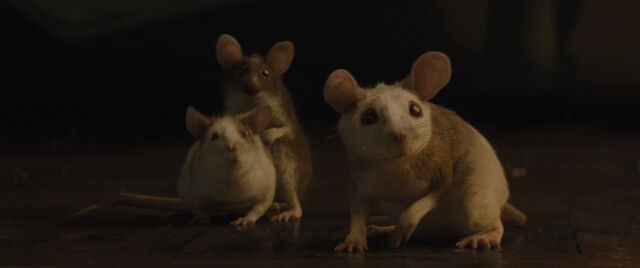 File:Cinderell-2015-disneyscreencaps.com-1300.jpg