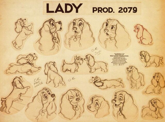 File:Lady- model sheet.jpg