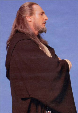 File:Qui-Gon-Jinn-qui-gon-jinn-29228852-1044-1507.jpg