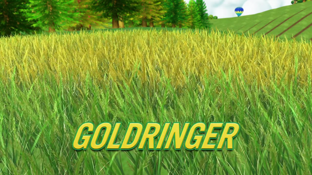 File:Goldringer.png