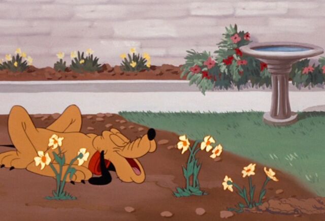 File:Mickey-and-Friends Pluto 1.jpg