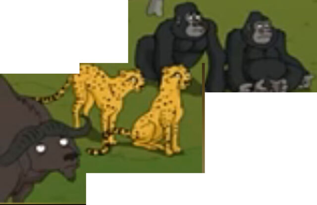 File:Cheetah Buffalo, Gorilla.jpg