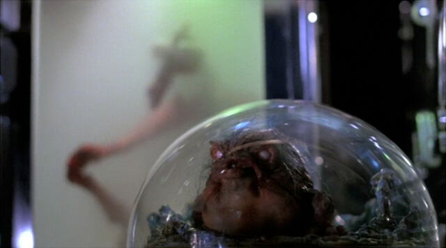 File:Space Frog.jpg