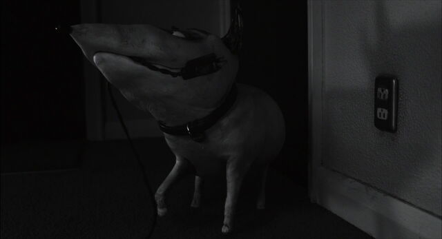 File:Frankenweenie-disneyscreencaps.com-179.jpg