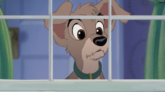 File:Lady-tramp-2-disneyscreencaps.com-283.jpg