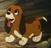 LittleHound
