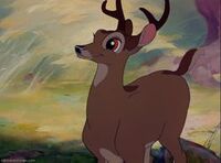 Bambi-disneyscreencaps.com-5093.jpg