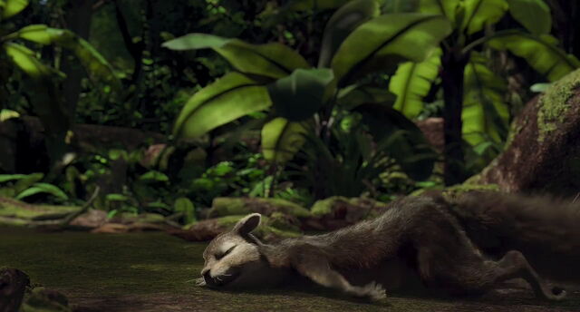 File:The-wild-disneyscreencaps com-7001.jpg
