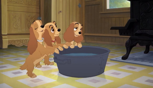 File:Tramp2-disneyscreencaps.com-184.jpg