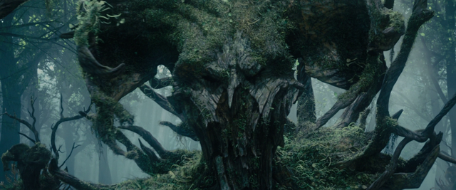 File:Tree Soldier Headshot.png