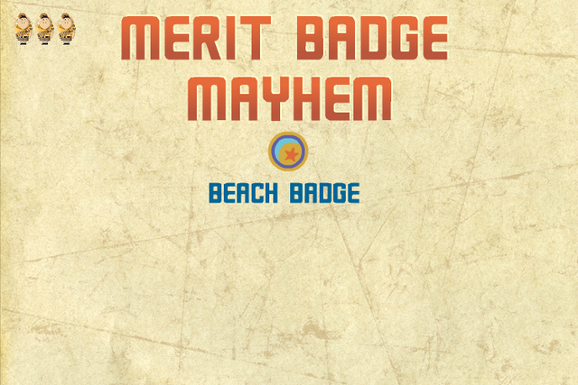 File:Merit Badge Ball.png