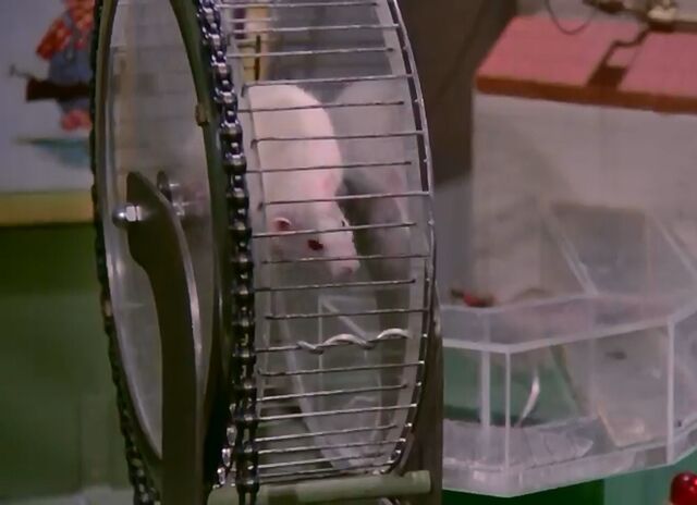 File:DrexelMouseOuterSpaceCat.jpg