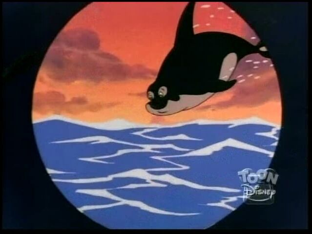 File:Savethewhale52.jpg