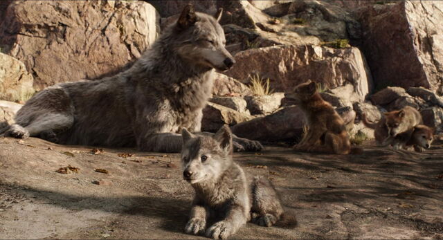File:Jungle-book-2016-disneyscreencaps.com-11253.jpg