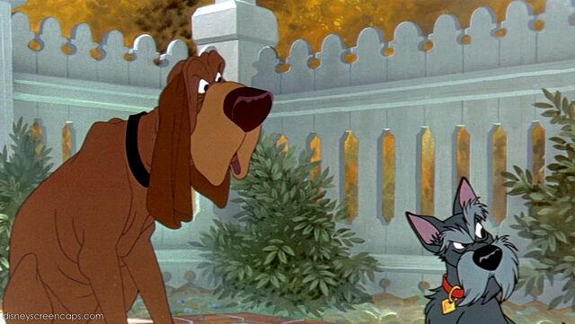 File:Tramp-disneyscreencaps com-2413.jpg