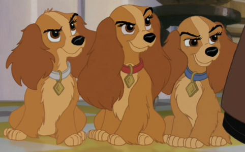 Lady Dog Disney No Collar Lady Dog Disney No Collar
