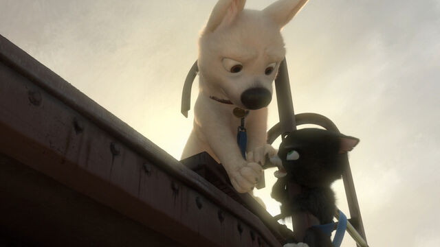File:5387895258 9170ff7d4e b.jpg.jpeg