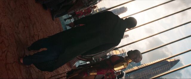 File:Black Panther (film) 38.jpg