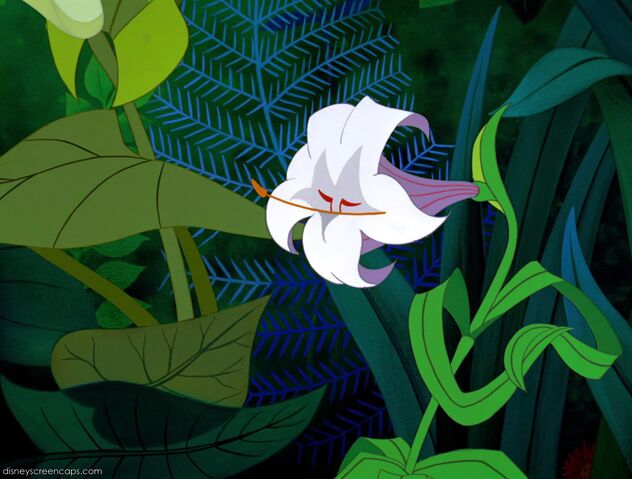 File:Alice-disneyscreencaps com-3024.jpg