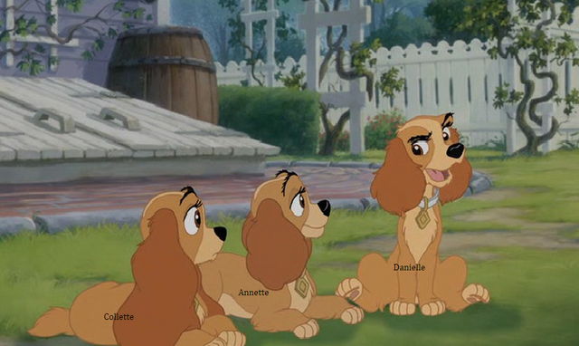 File:Cocker spaineils.png