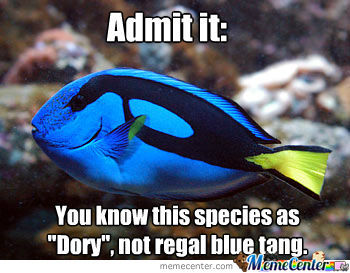 File:Dory.jpg