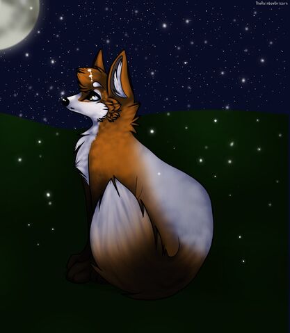 File:~Watching the stars~.jpg