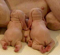 Thumbnail for version as of 20:21, July 25, 2014