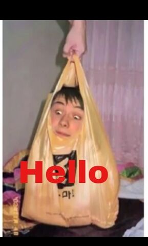File:SWIGGITY SWAG WHAT'S IN THE BAG.jpg
