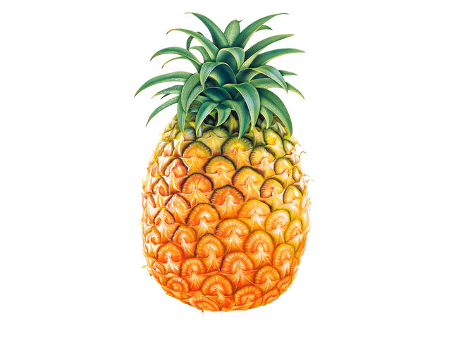 File:Pineapple.jpg