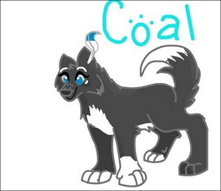Coal