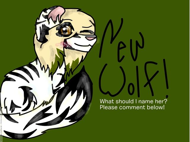 File:Disney-Create-welenar-New-Wolf-Name-PLZ-APPROVE.jpg