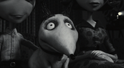 Frankenweenie 5-1