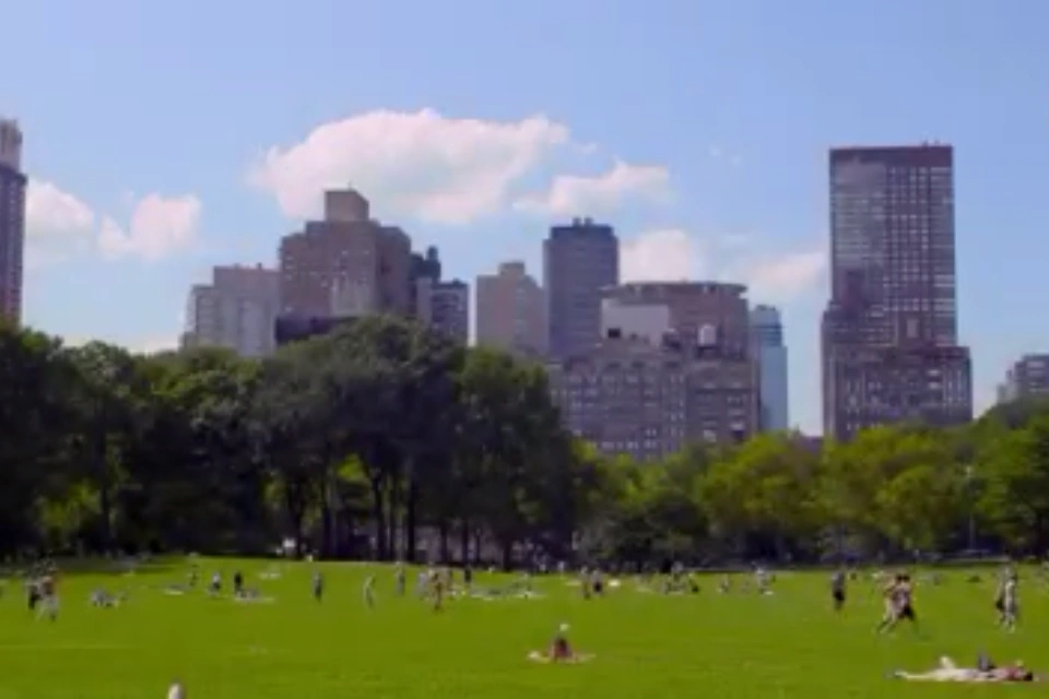 Image Central park.PNG Jessie Wiki Fandom powered by Wikia