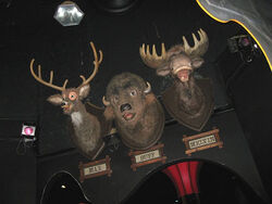 Countrybearjam heads3