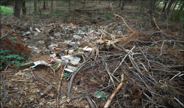 File:Picture3.png