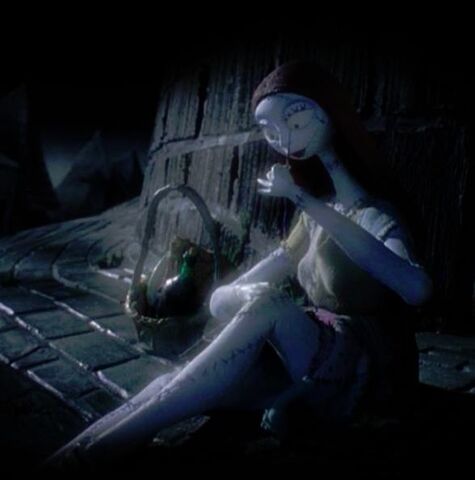 File:Sally.jpg